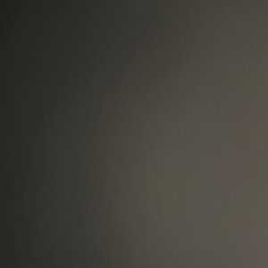 Shipping label with gift